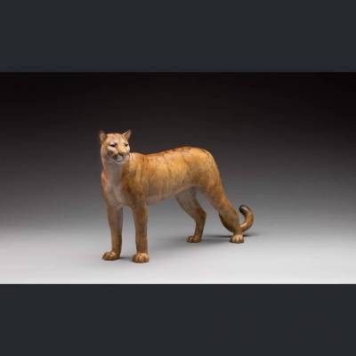 Wild Spirit Maquette